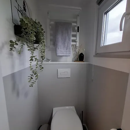 Prima Boddenblick -stellplaetze-schlaffaesser-tiny In Ostsee Naehe Gross Kordshagen