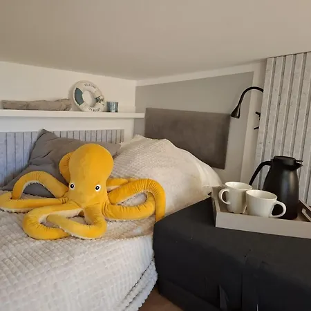 Prima Boddenblick -stellplaetze-schlaffaesser-tiny In Ostsee Naehe Апарт-отель