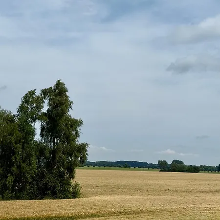 Prima Boddenblick -stellplaetze-schlaffaesser-tiny In Ostsee Naehe 아파트호텔 *